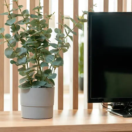 Cozy With Parking In By Renters アパート *